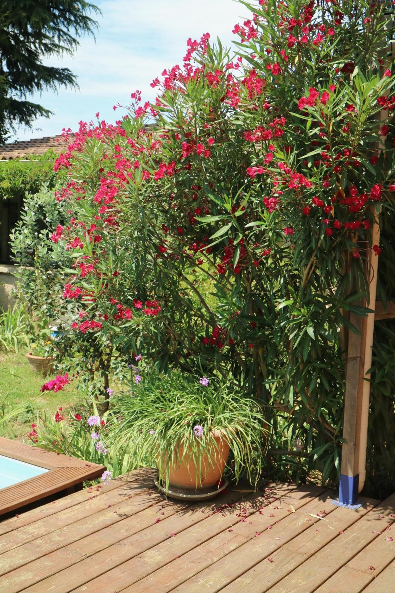 Bed and Breakfast Un Temps Pour Le Reve Valence  Exterior foto